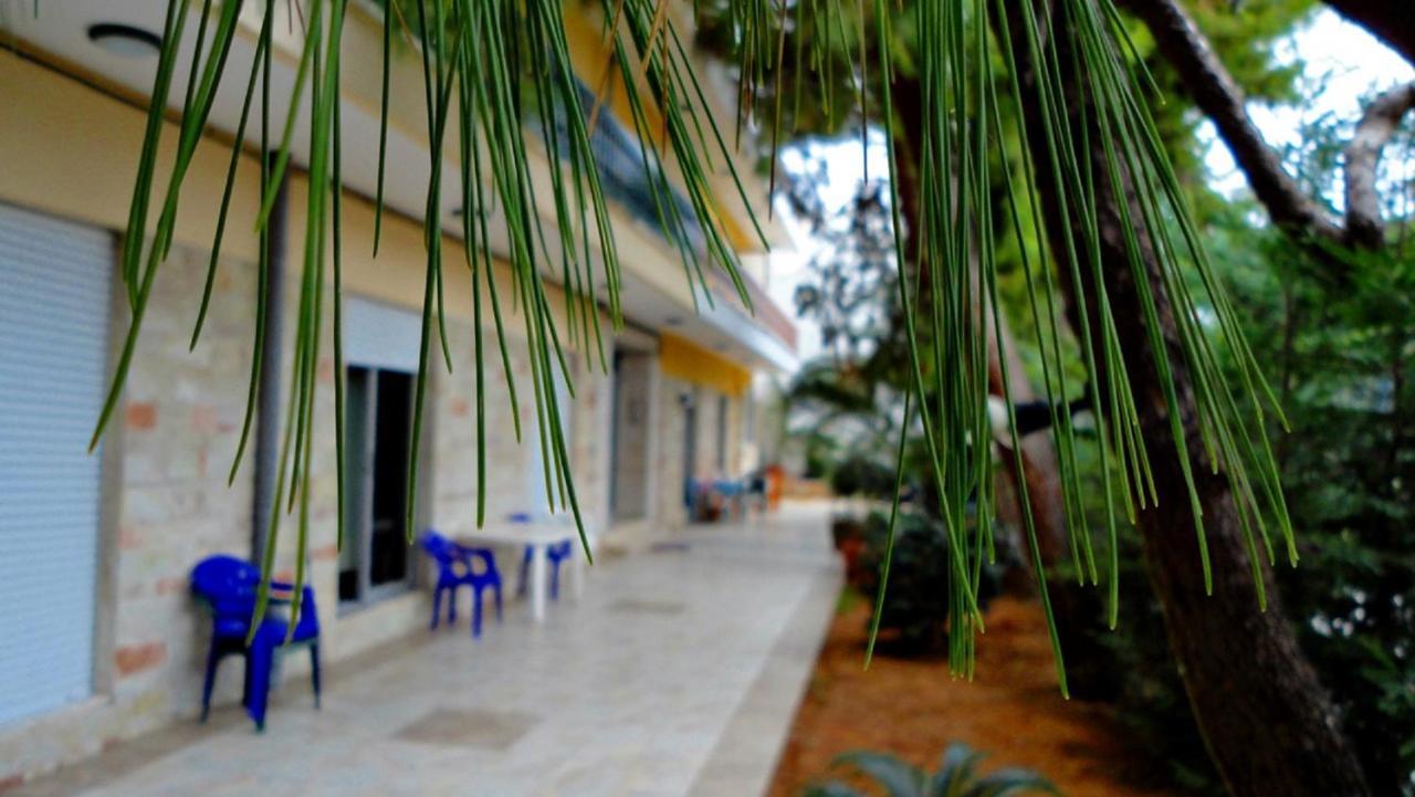 Homestay Vacations In *